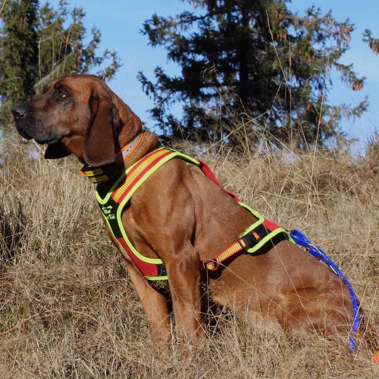 NIGGELOH FOLLOW TRAIL Schweißgeschirr für Hunde, Bild 3 von 5