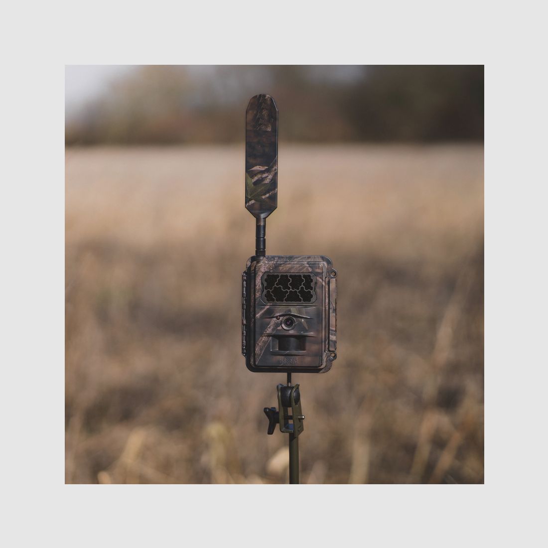 SEISSIGER Wildcamera Special-Cam LTE – SUPERSIM-Edition inclusi batterie