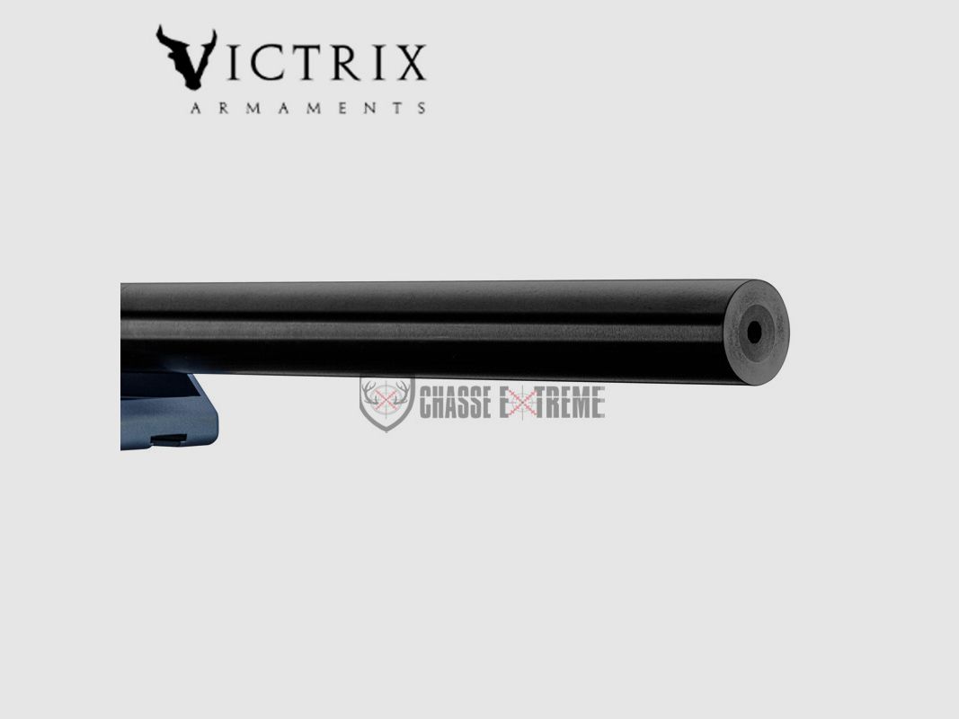 Büchse VICTRIX Scepter Small Bore 24" Kal. 22 Lr M18x1, Bild 11 von 11