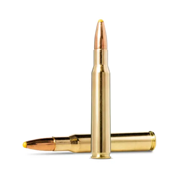 Balles De Chasse Norma Calibre 300Win Pointe Plastique, image 5 sur 6