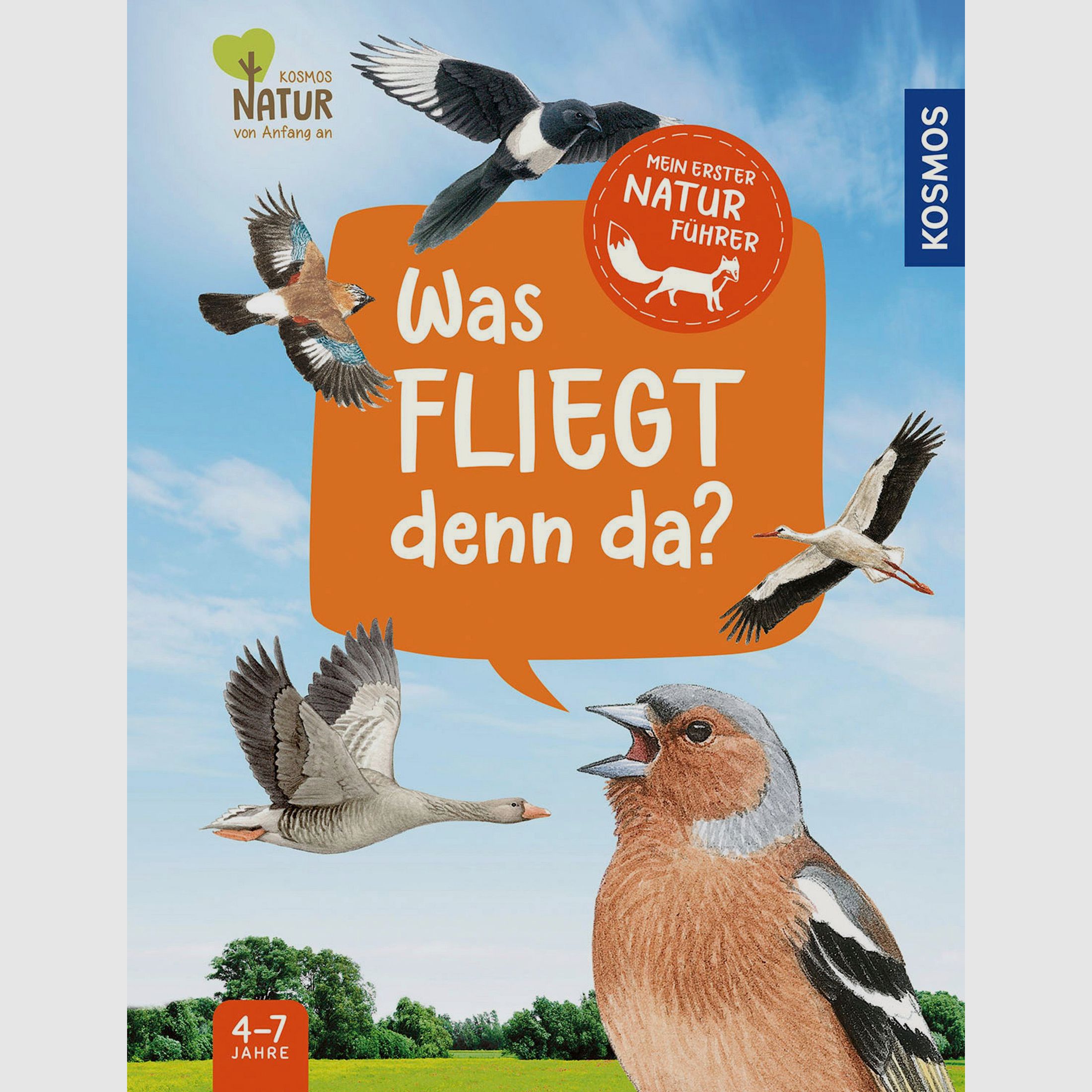 Mein erster Naturführer – Was fliegt denn da?