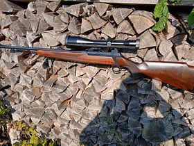 Sauer 200 in caliber .308 Win