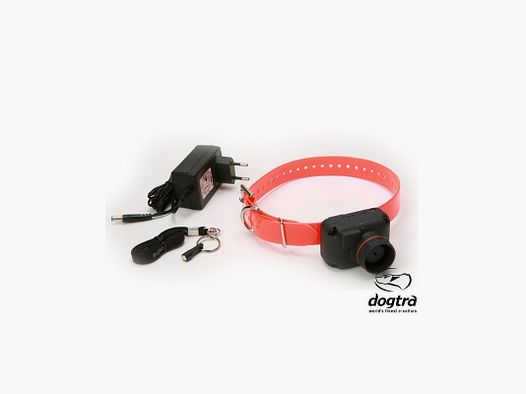 DOGTRA STB HAWK H