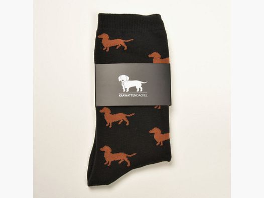 405 K black socks brown dachshund