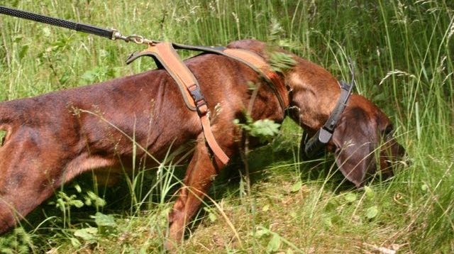 Vorprüfung/Erschwerte Schweissprüfung April 2013