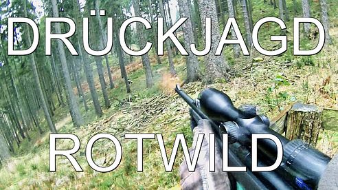 Drückjagd - Driven Hunt - Rotwild ohne Ende