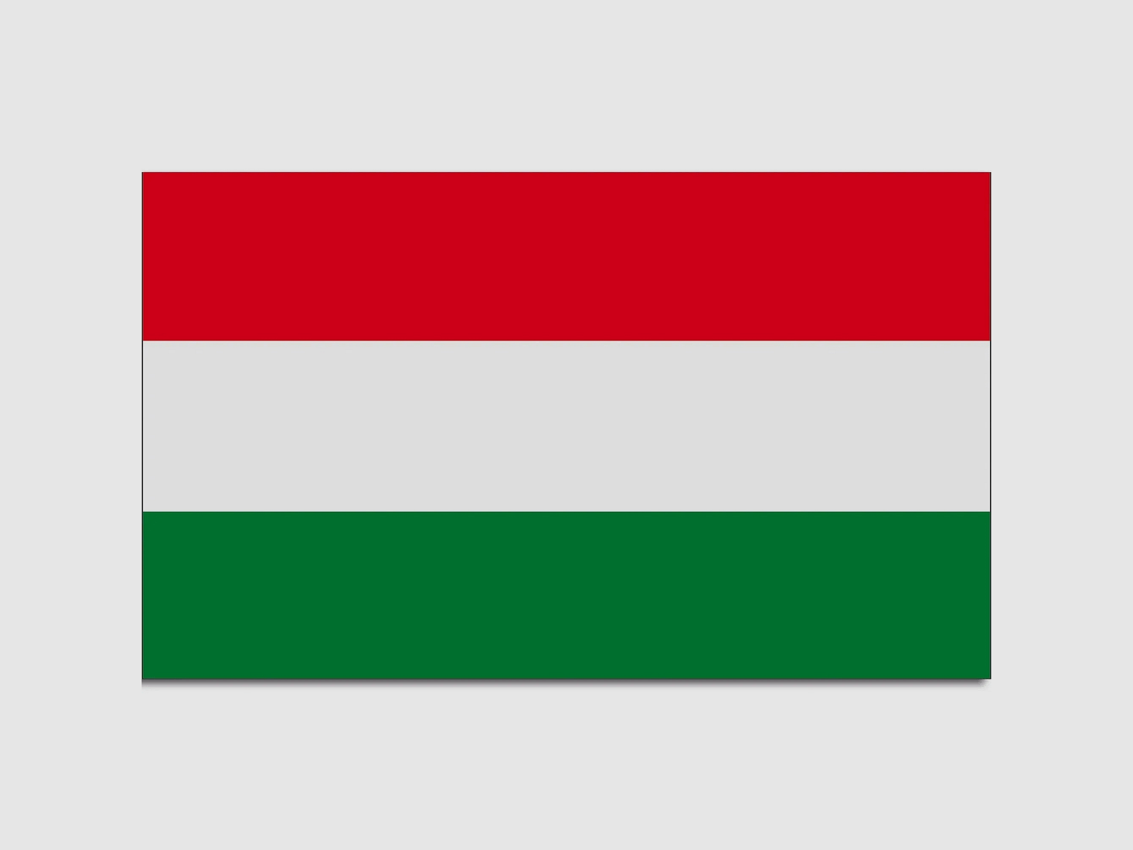 Unbekannt Flagge Ungarn