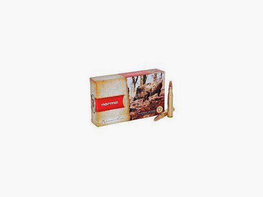 BULLET NORMA 9,3X62 PLASTIC POINT 285 GR
