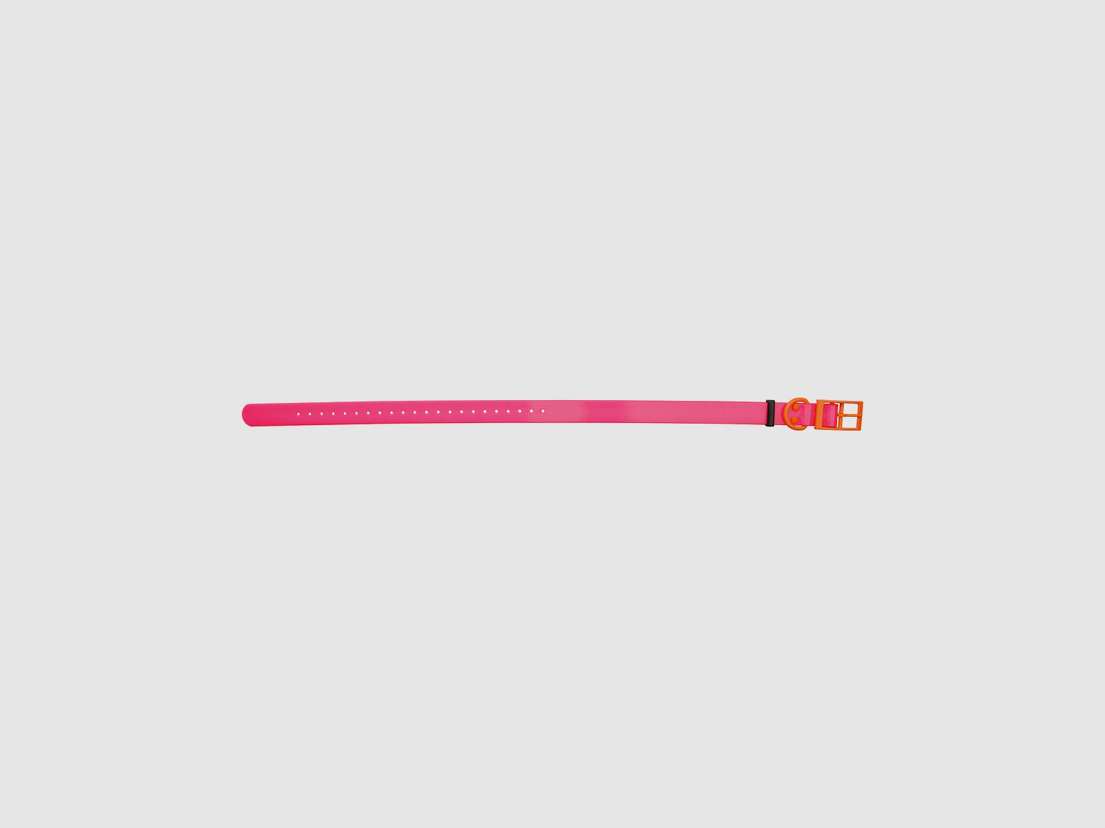 HP&G Collier pour chien 25mm Rose