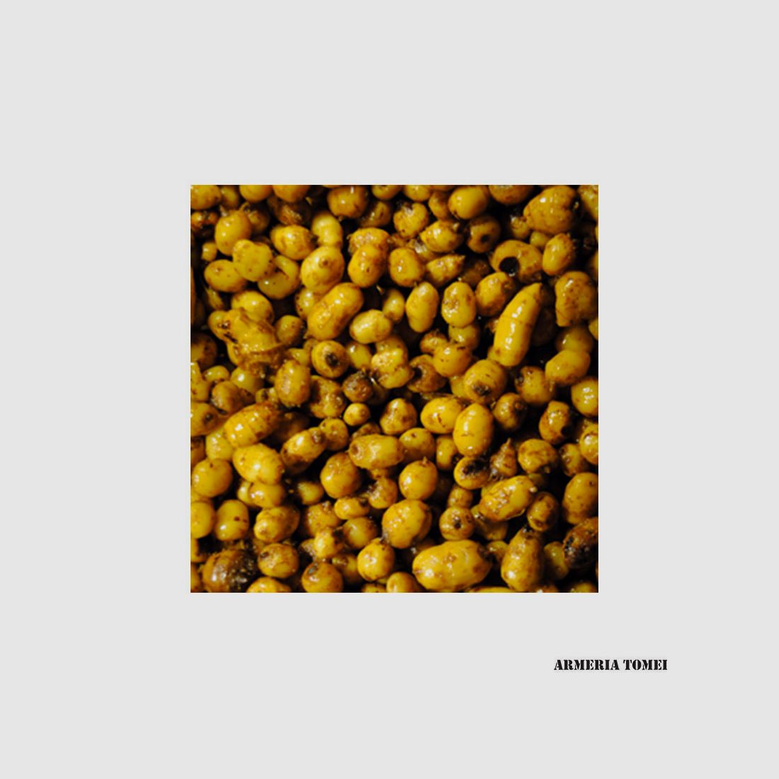 FEED UP – READY SEED HOOKBAIT TIGERNUTS 5KG, image 2 of 2