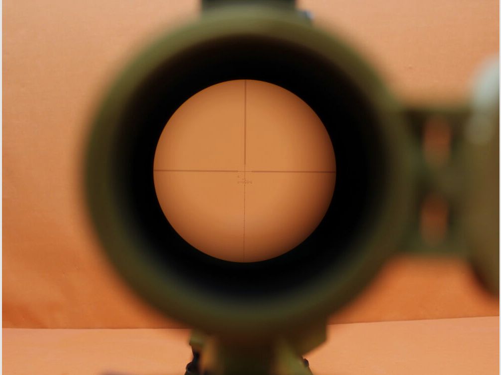 Heckler&Koch Ha. rifle .308Win Heckler&Koch HK G28 with Schmidt&Bender PMII scope 3-20x50/Aimpoint/no MR308