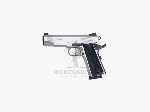 Tisas Zig M45 Stainless .45ACP