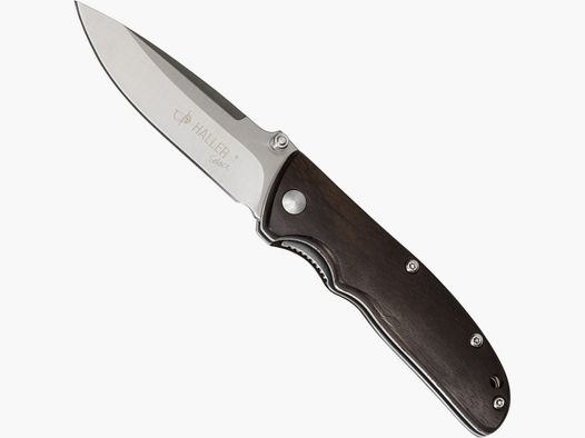 HALLER WYBIERZ BORR