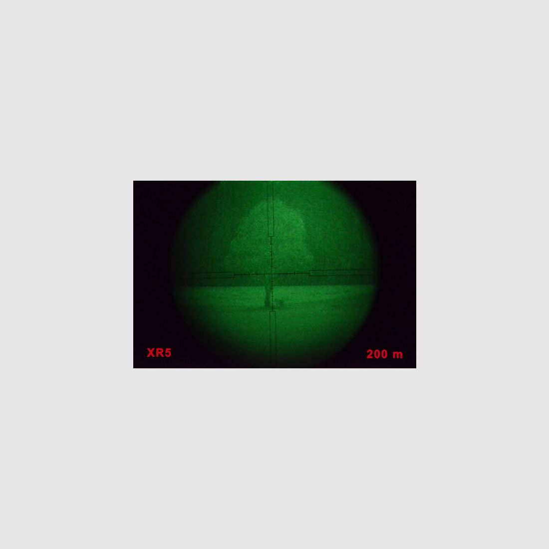 Dedal 542 Schott, image 10 sur 10