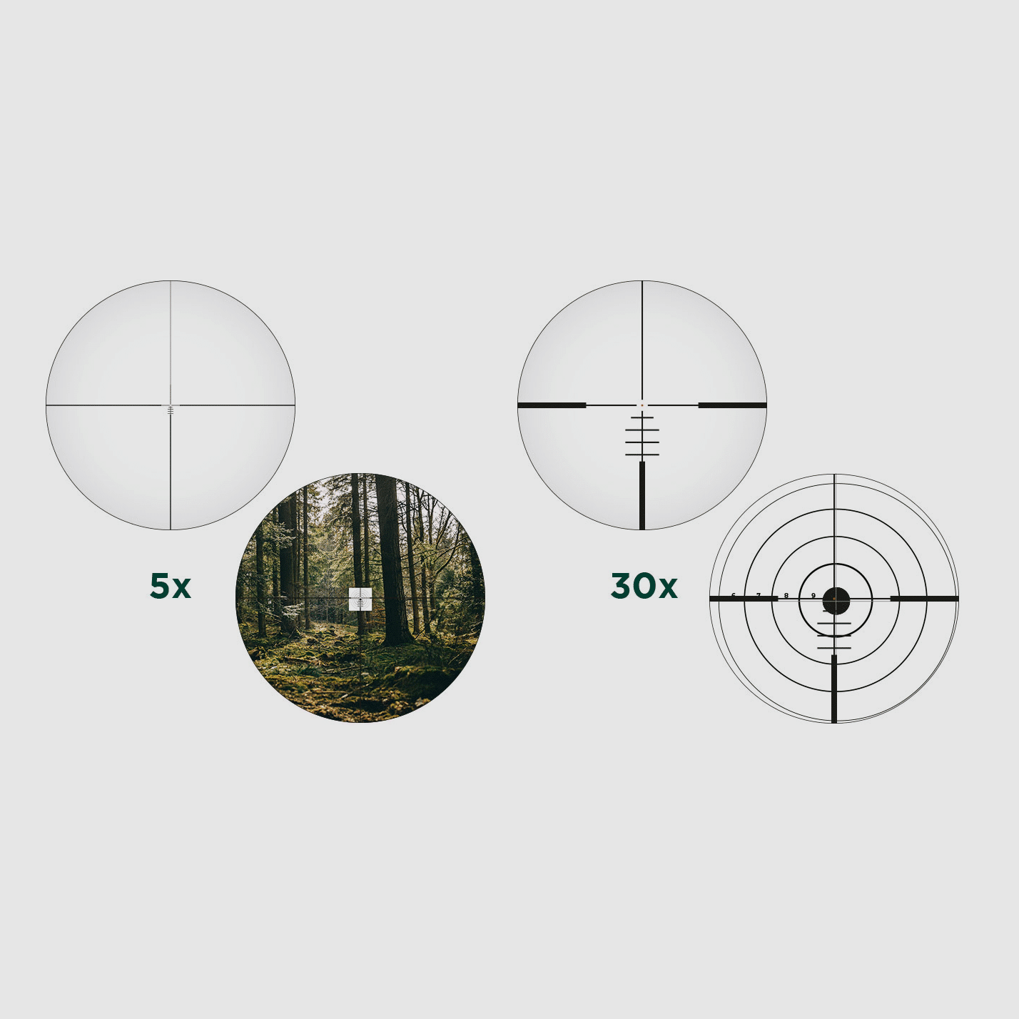 ALPEN Optics APEX XP 5–30×56 BDC