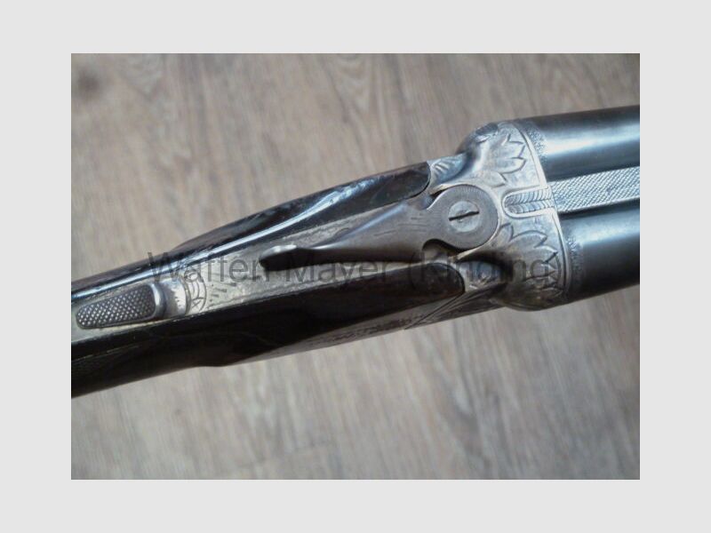 Forest double-barreled shotgun