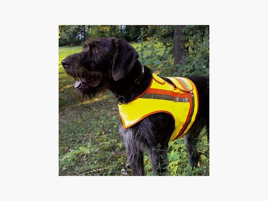 GIACCA PER CANI TAGLIA 1 AD ESEMPIO DACHSHUND