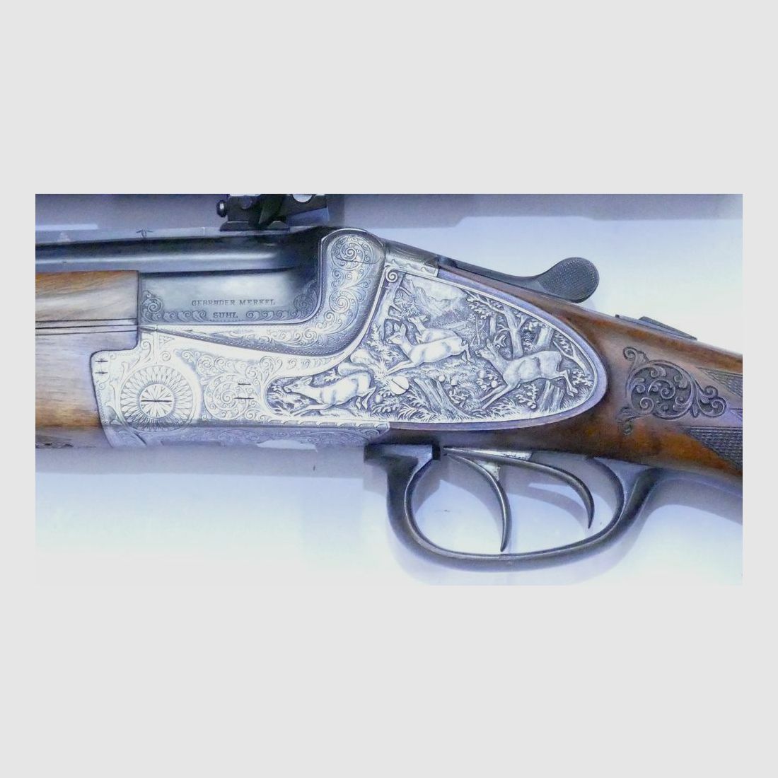 Arma usata Merkel Mod.213E