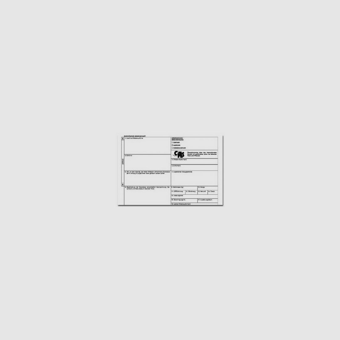 Downloads - Auslandsreise