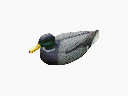 Lokvogel woerd 41cm