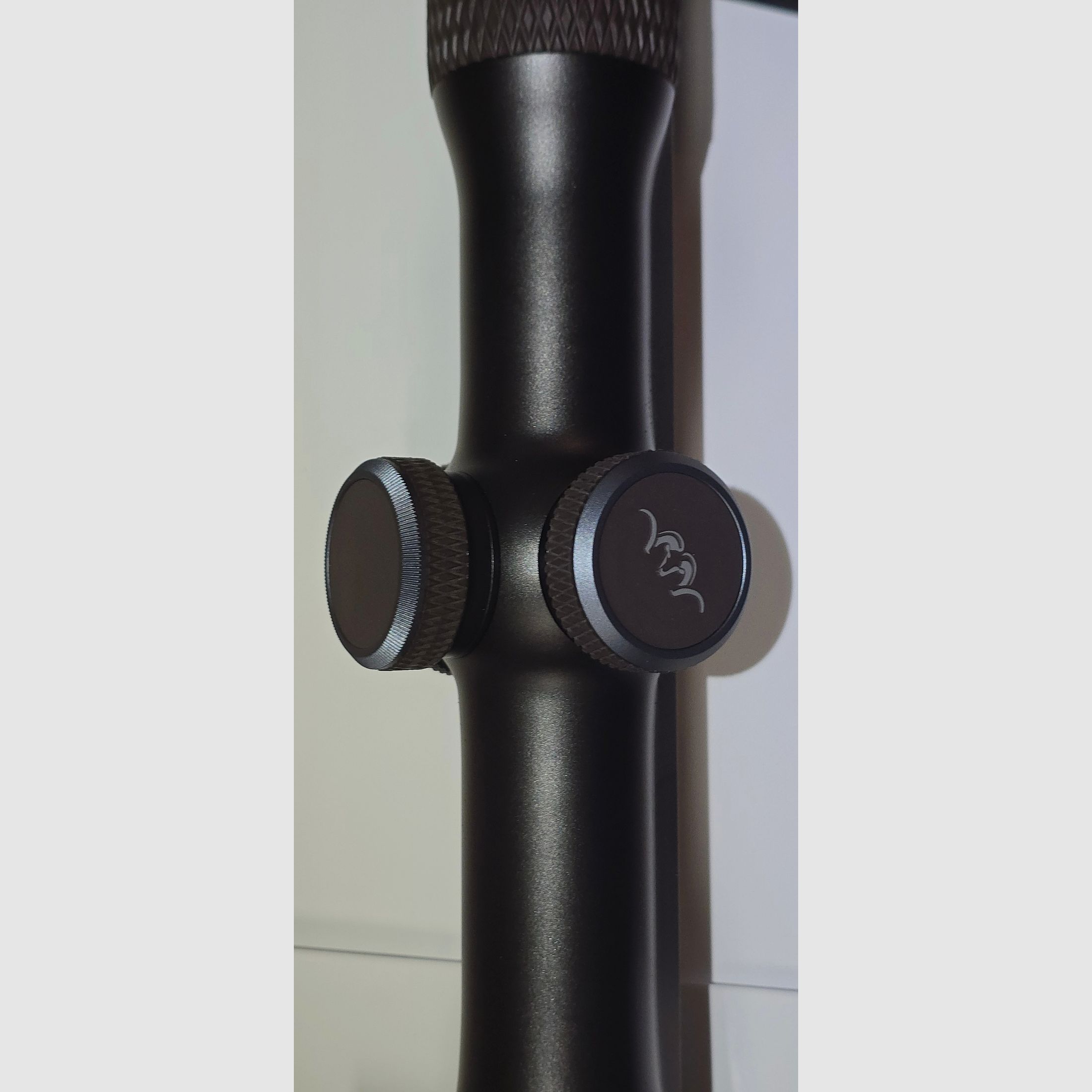 Optique cible Blaser B1 4-20x58 iC avec rail Zeiss