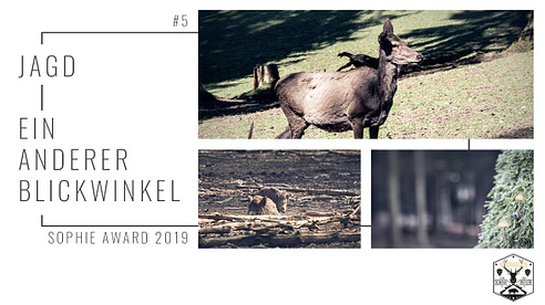 WAIDRAUSCH - Jagd ein anderer Blickwinkel - Sophie Award 2019 #5