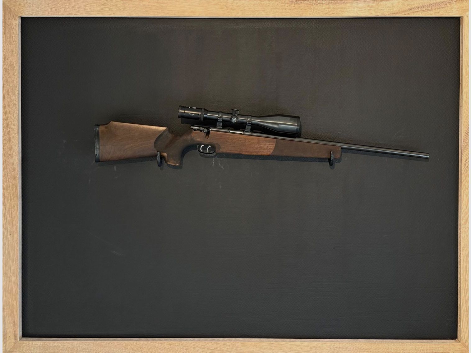 Krico match rifle caliber .22 Hornet with Kahles 3-12x56