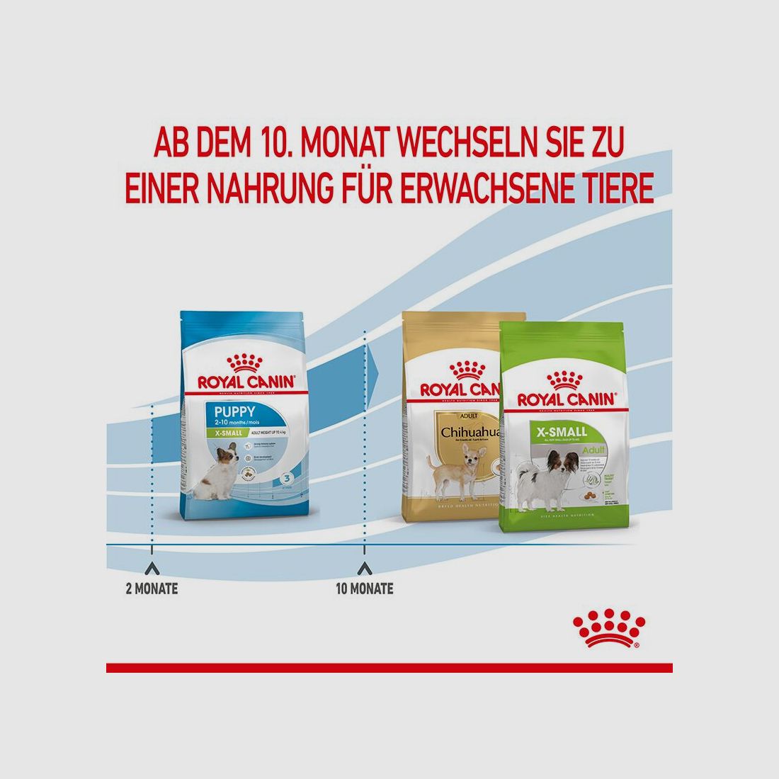 ROYAL CANIN Sehr Kleine Hunde Trockenfutter X-Small Welpen