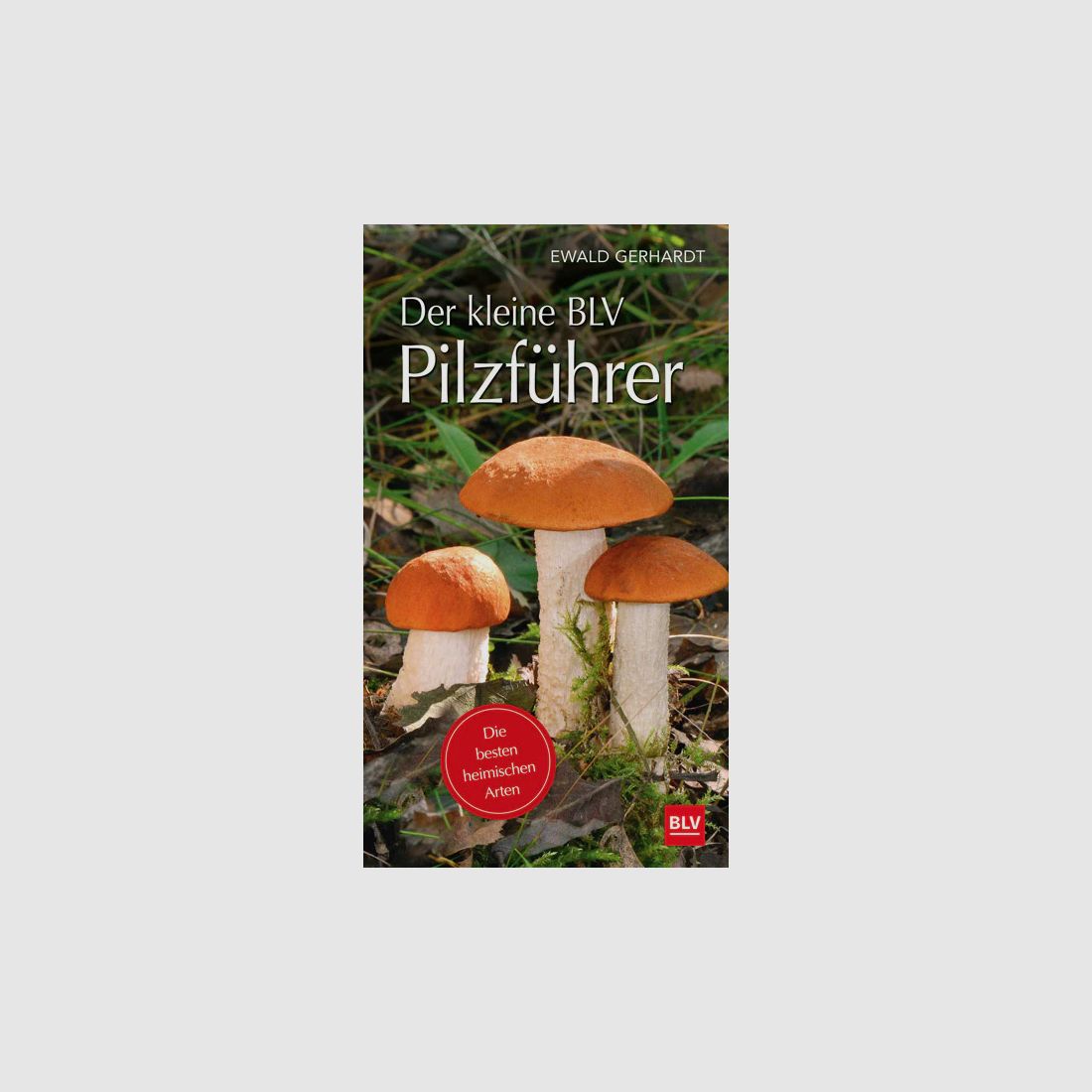 Gräfe & Unzer Der kleine BLV Pilzführer Ewald Gerhardt