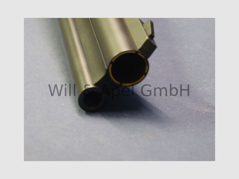 BLASER 95 Special Shot