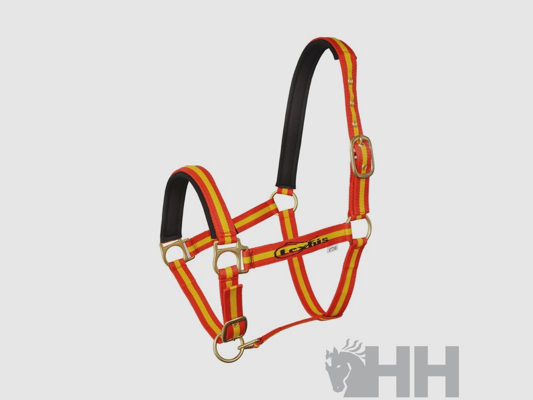 Doppelte Nylonhalfter Lexhis, Bild 1 von 3
