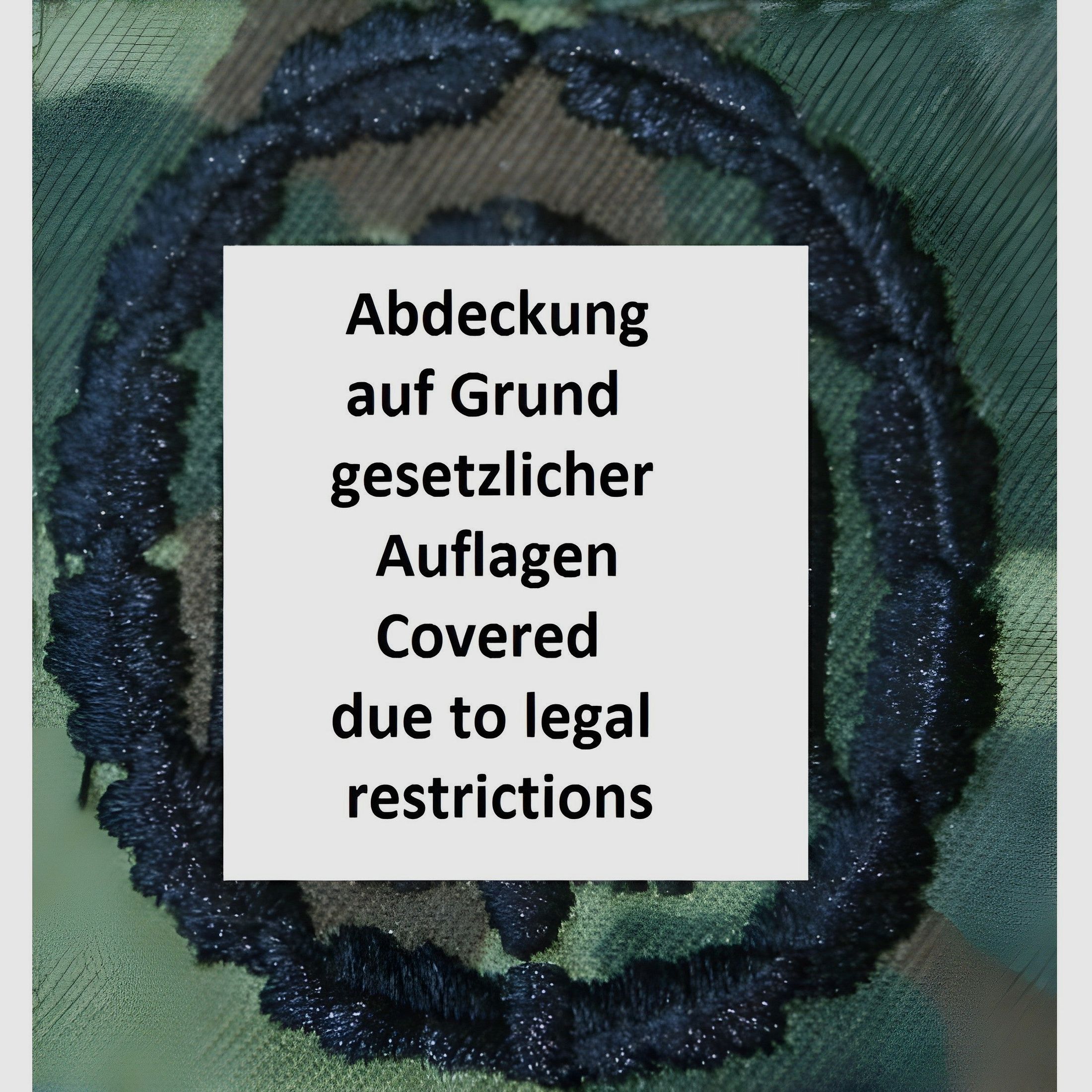 BW Leistungsabzeichen Flecktarn