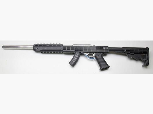 Ruger 10/22 Stile AR 15