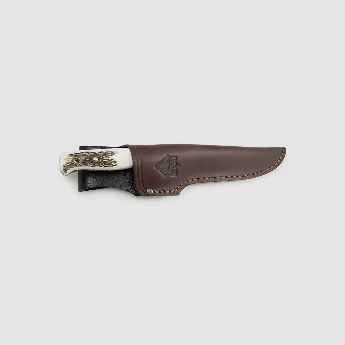 PUMA IP wildmeister, cervo