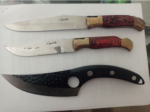 5 différents couteaux de pêcheurs, collectionneurs ou de poche