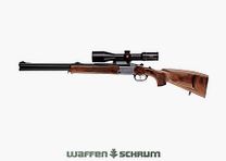 Offre complète Blaser BBF95 Prestige incluant l'optique