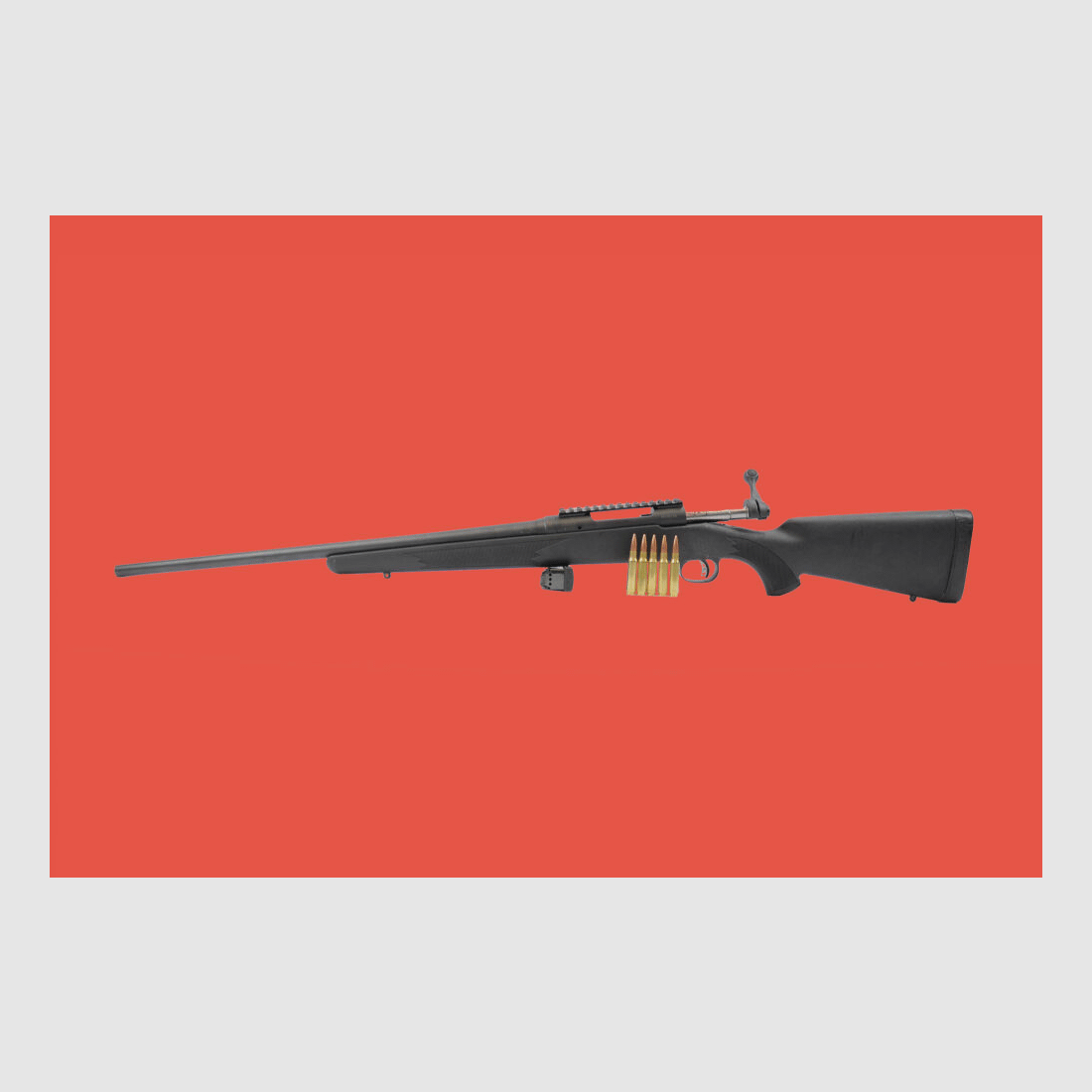 Savage 110