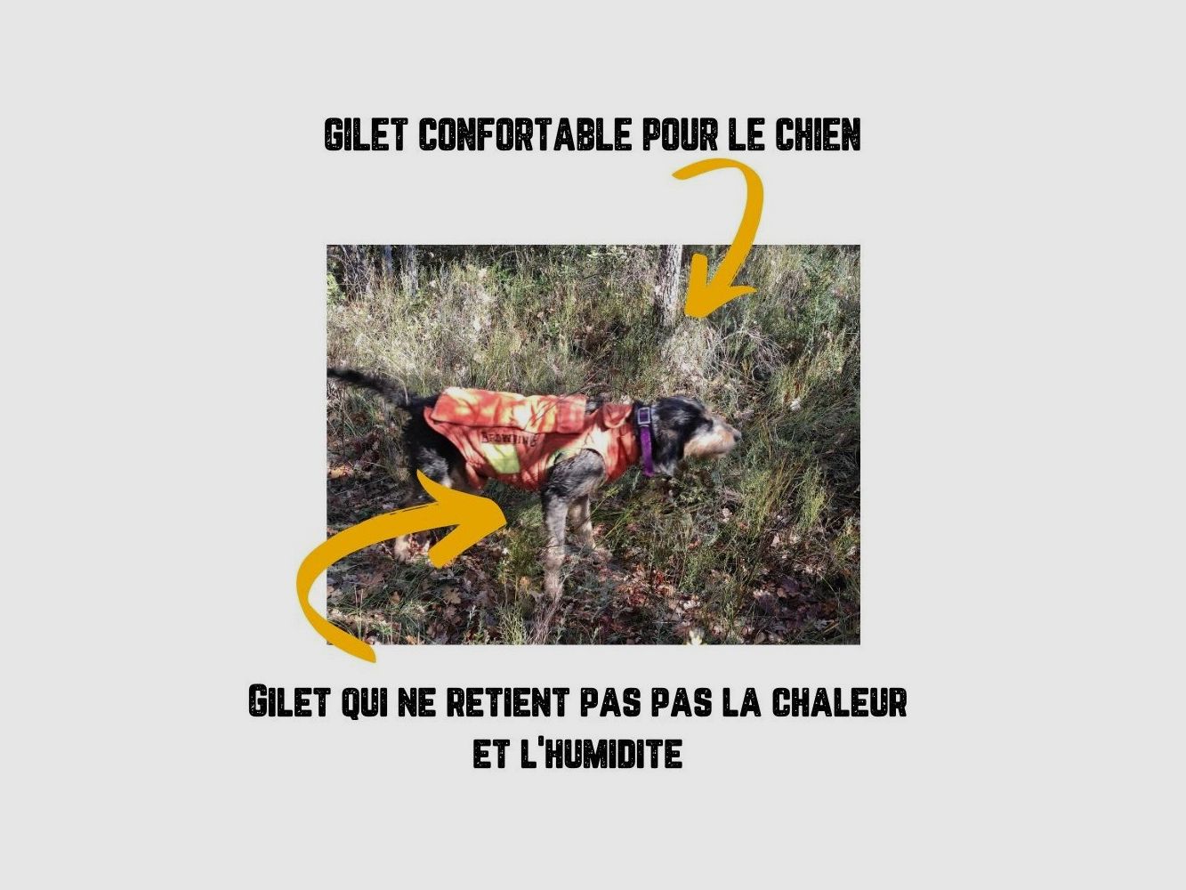 Schutzweste für Hunde große Größe, Bild 4 von 5
