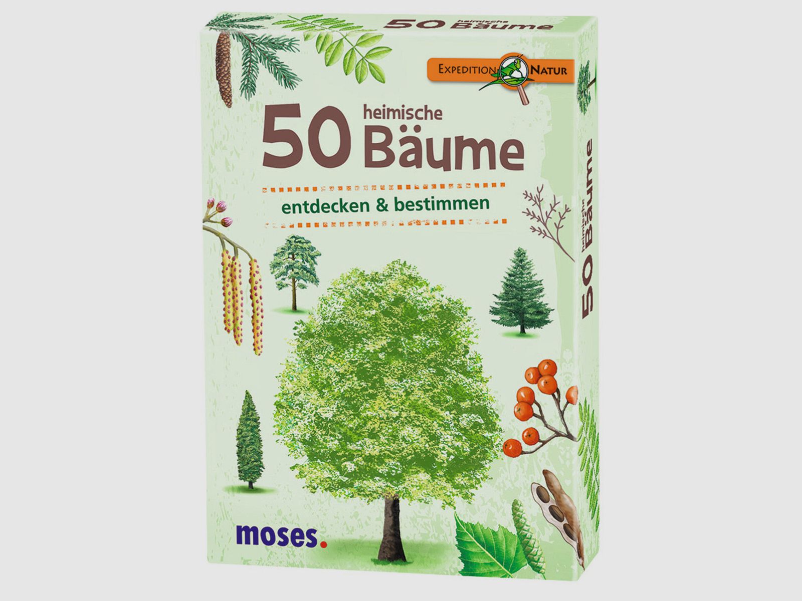 Juego de cartas Moses 50 árboles nativos