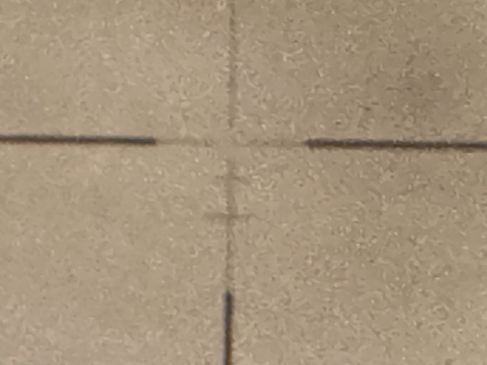 Ruger M77 Mark 2 .300winmag