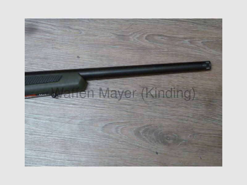 Chasseur de HOG Sauvage