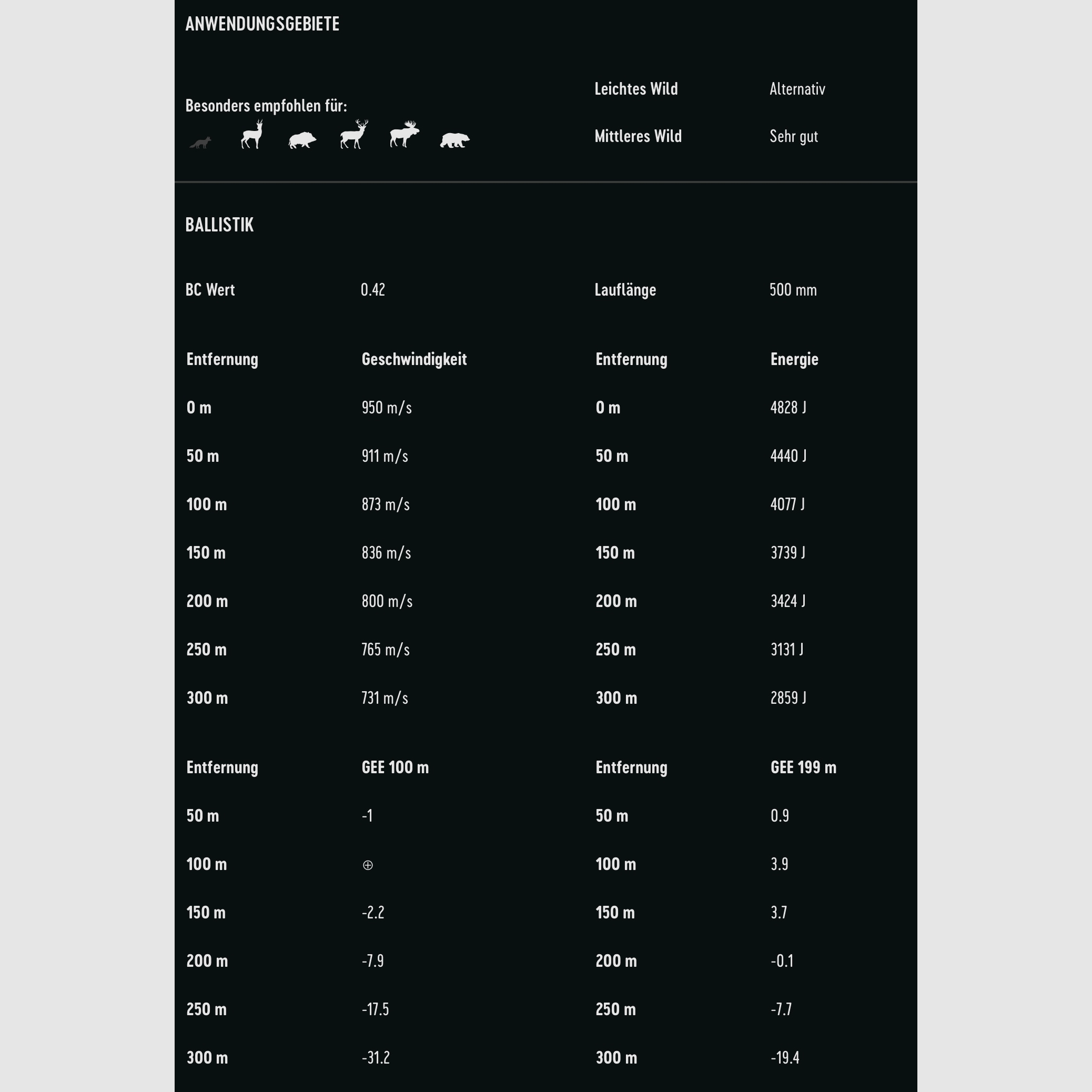 RWS 2408474 Büchsenpatronen .300 Win. Mag. HIT Short Rifle 10,7g 165grs. Bleifrei