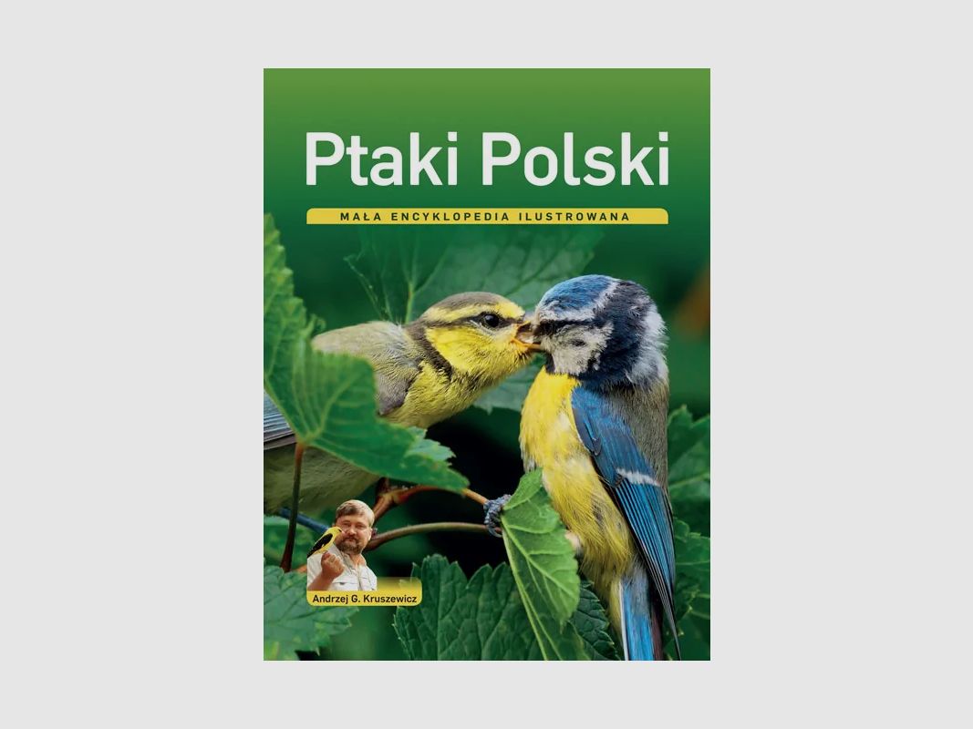 Birds of Poland – Small Illustrated Encyclopedia – ANDRZEJ KRUSZEWICZ