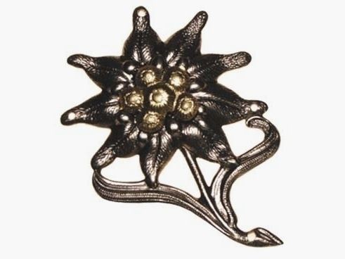 BW Gebirgsjäger-Edelweiß, metallo