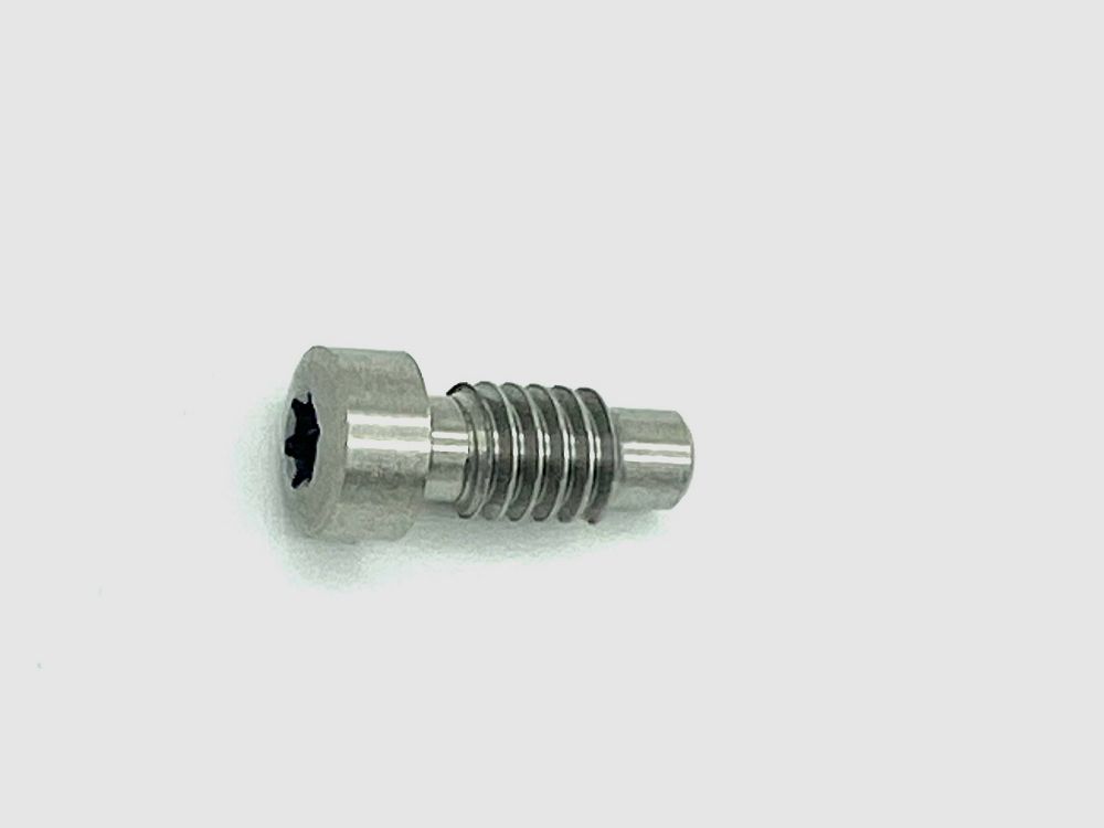 CLUB 30 parte di tuning/ricambio per revolver, vite della molla del cane TORX per telaio K/L/N/X -sts, immagine 1 di 2