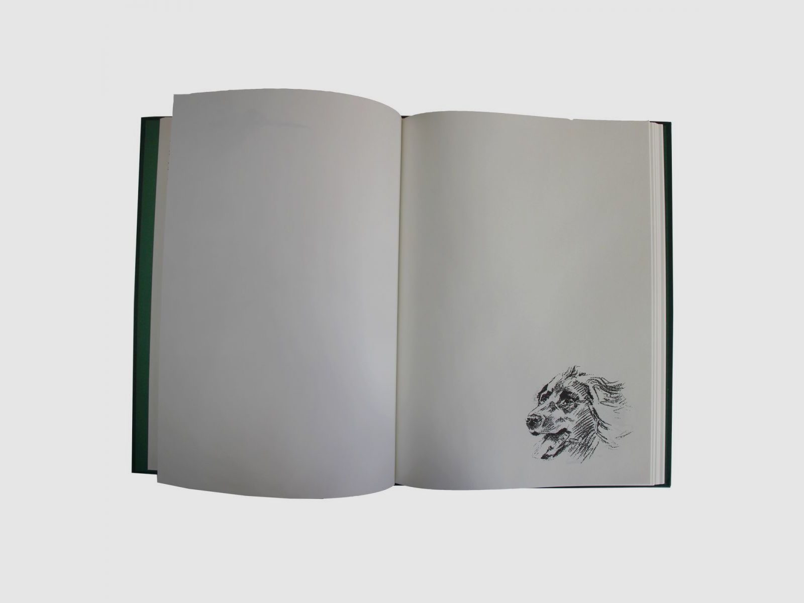 Schuss- / Jagdtagebuch