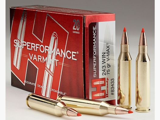 Hornady Superformance Varmint .243 Win. 75GR V-Max 20 cartouches