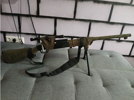 Cyma zm51