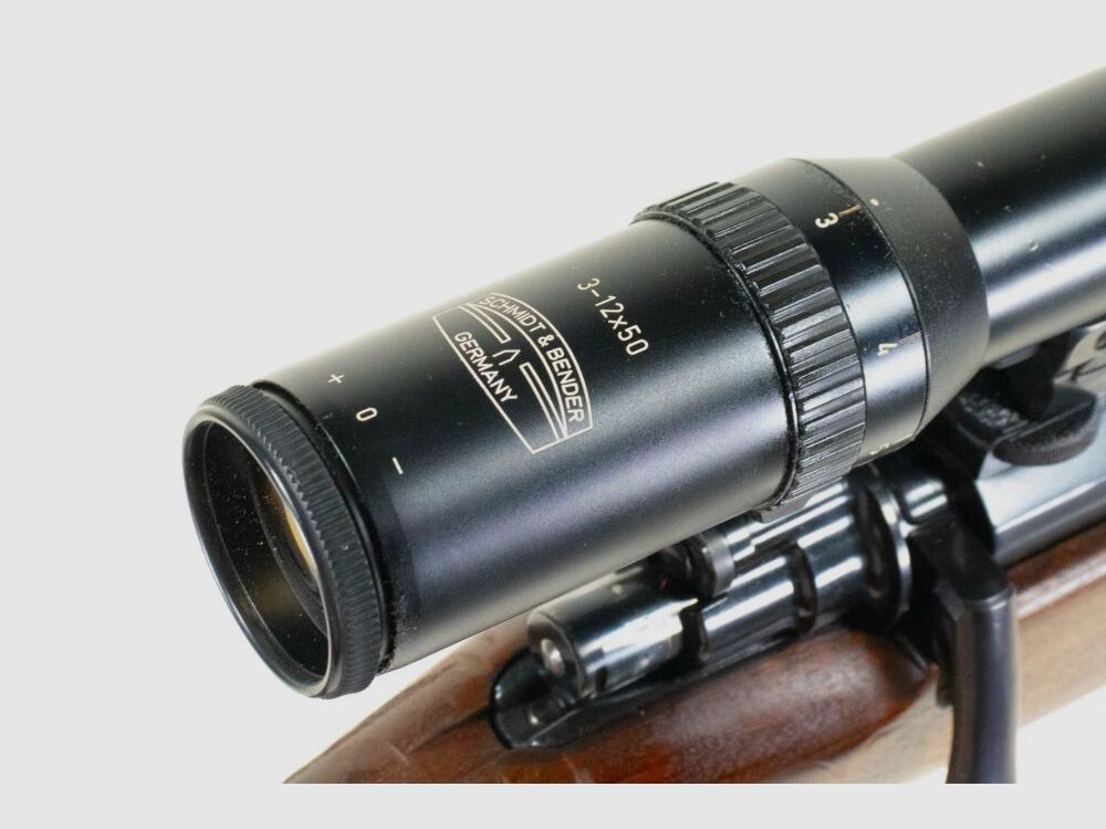 DWM Argentino 1909 with Schmidt & Bender 3-12x50 Red Dot