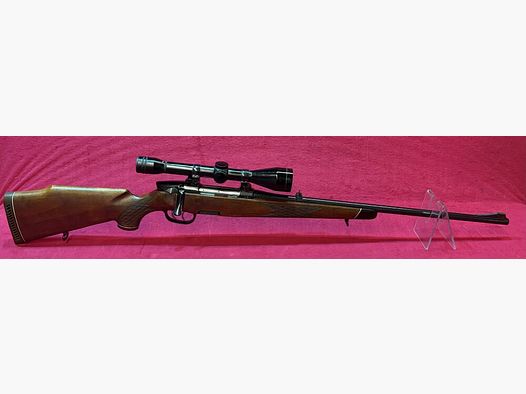 Steyr Mannlicher Mod M